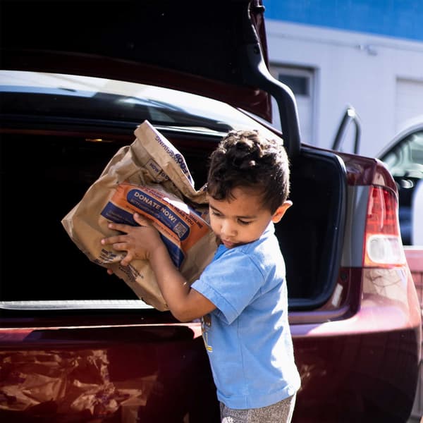 Young child unpacking brown paper bag of groceries