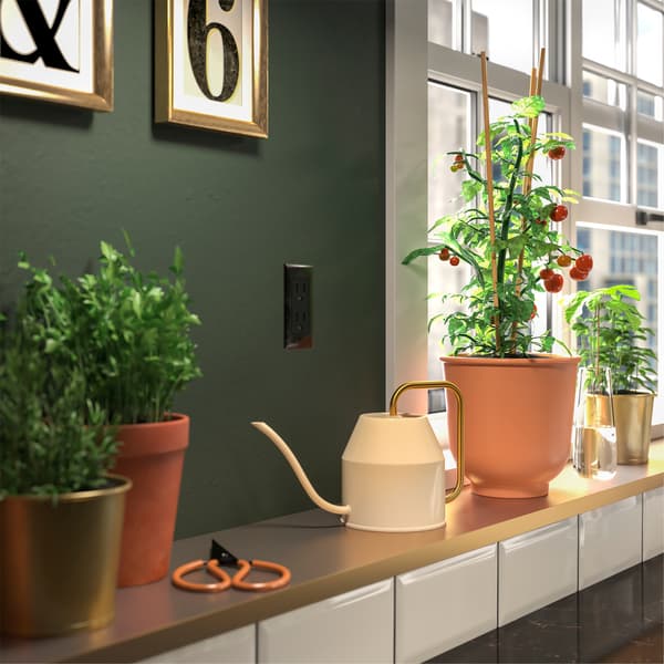 Zelena kuhinja s paradajzom i začinima u crvenobraon i zlatnim saksijama, s kantom za zalivanje u zlatnoj/boji slonovače.