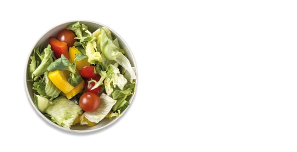 zeleninový salát, dle nabídky