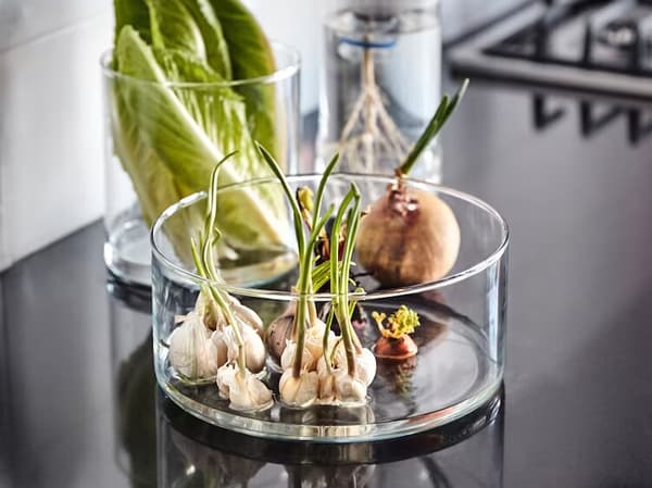 zu sehen ist ein Glas Behälter in dem sich Zwiebel befinden