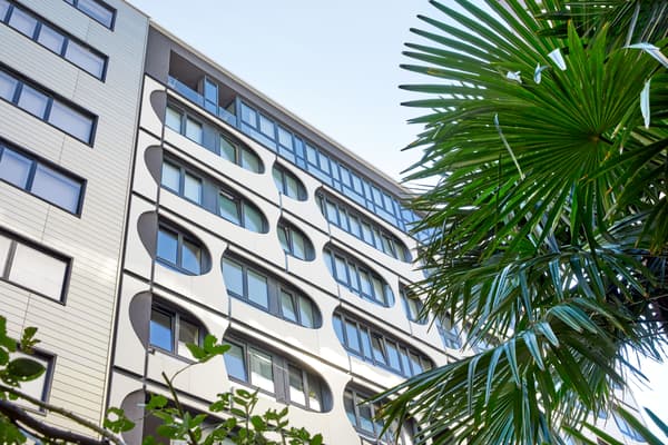 zu sehen ist ein Hochhaus mit größeren Fenstern und einer Palme aug der rechten seite.