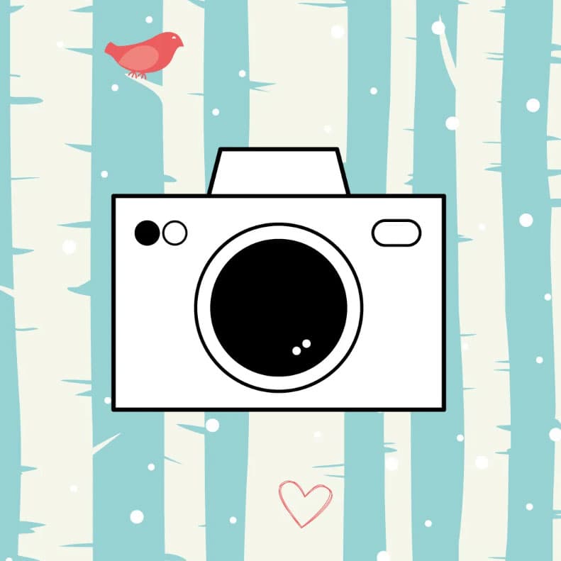 Zusehen ist eine Illustration einer Kamera, im Hintergrund ein blau weiß gestreifte Tapete mit einem Herzen und einem kleinen roten Vogel