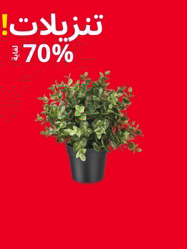 زينة وديكور