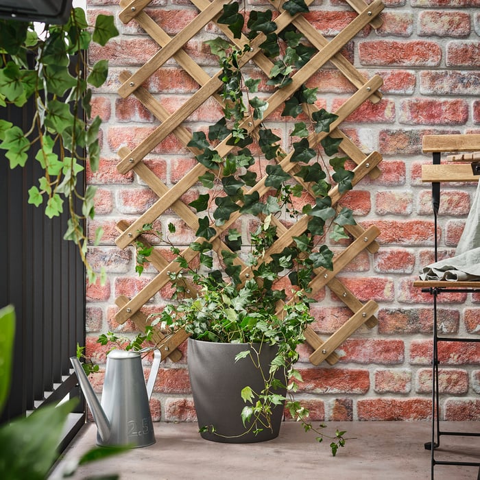 ASKHOLMEN trellis, acacia - IKEA