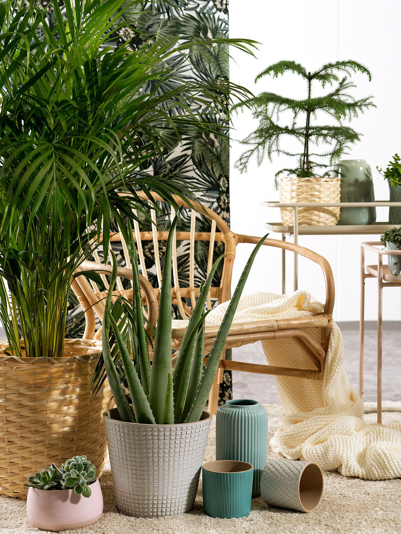 CHIAFRÖN plant pot, white, 9 cm (3 ½