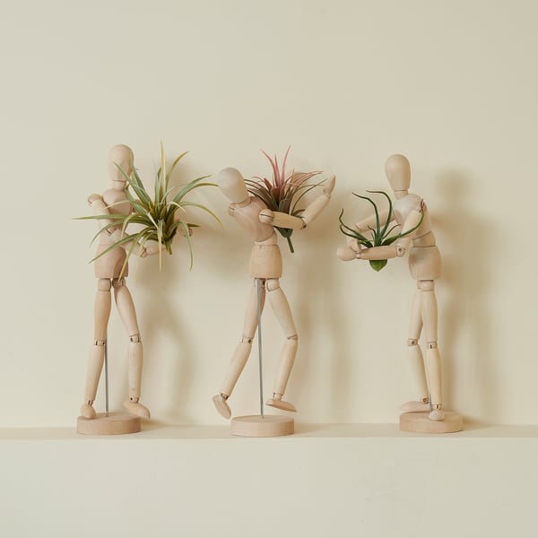 FEJKA artificial plant, set of 3, air plant IKEA
