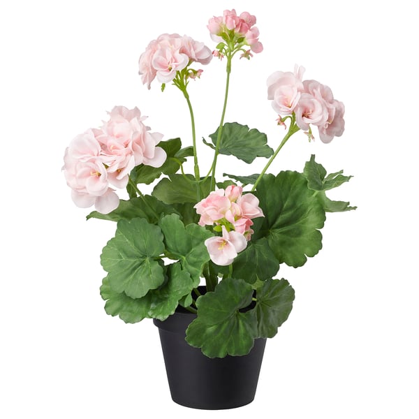 FEJKA Artificial potted plant, in/outdoor/Geranium pink, 12 cm