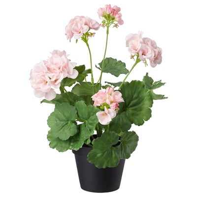 FEJKA Artificial potted plant, in/outdoor/Geranium pink, 12 cm
