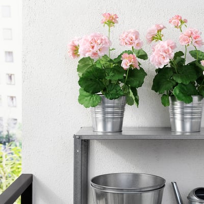 FEJKA Artificial potted plant, in/outdoor/Geranium pink, 12 cm