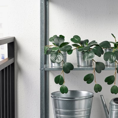 FEJKA Artificial potted plant, in/outdoor hanging/Peperomia, 9 cm
