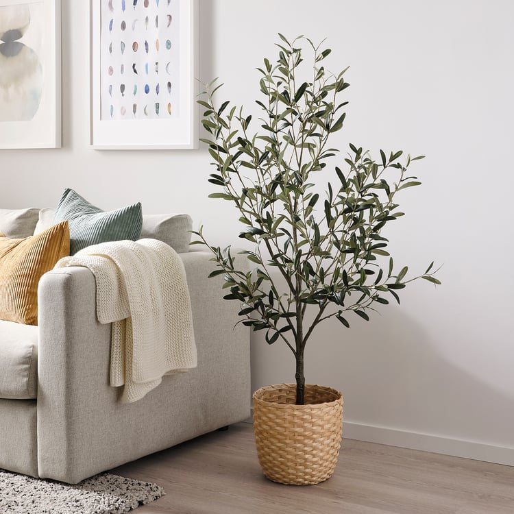 FEJKA Artificial potted plant, in/outdoor Olive tree, 19 cm (7 ½") IKEA
