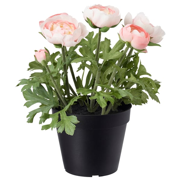 FEJKA Artificial potted plant, in/outdoor/Ranunculus pink, 12 cm