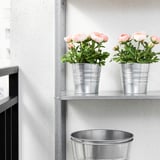 FEJKA Artificial potted plant, in/outdoor/Ranunculus pink, 12 cm