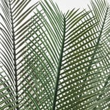 FEJKA Artificial potted plant, in/outdoor sago palm, 19 cm