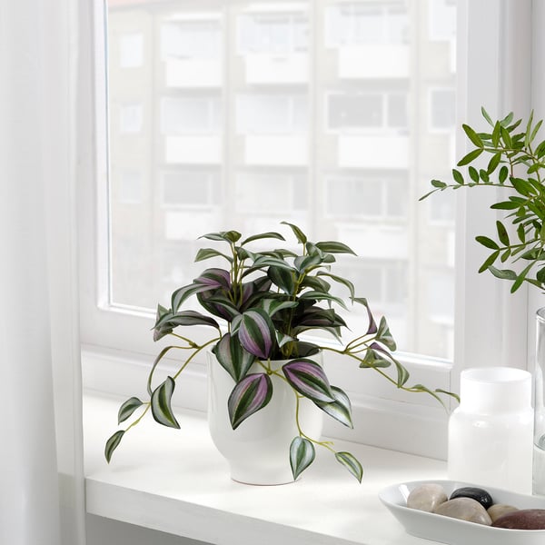 FEJKA Artificial potted plant, in/outdoor Spiderwort, 9 cm