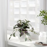 FEJKA Artificial potted plant, in/outdoor Spiderwort, 9 cm