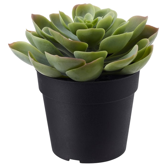 FEJKA artificial potted plant, in/outdoor Succulent, 9 cm (3 ½") IKEA