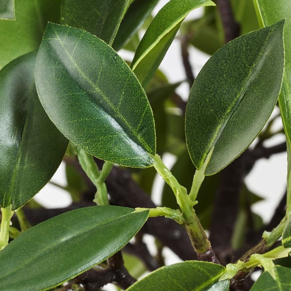 FEJKA Artificial potted plant, in/outdoor/Weeping fig stem, 12 cm