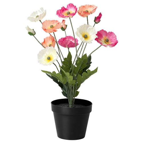 FEJKA artificial plant, multi-colored flowers, black pot, indoor/outdoor use, made from polyester and recycled plastic.