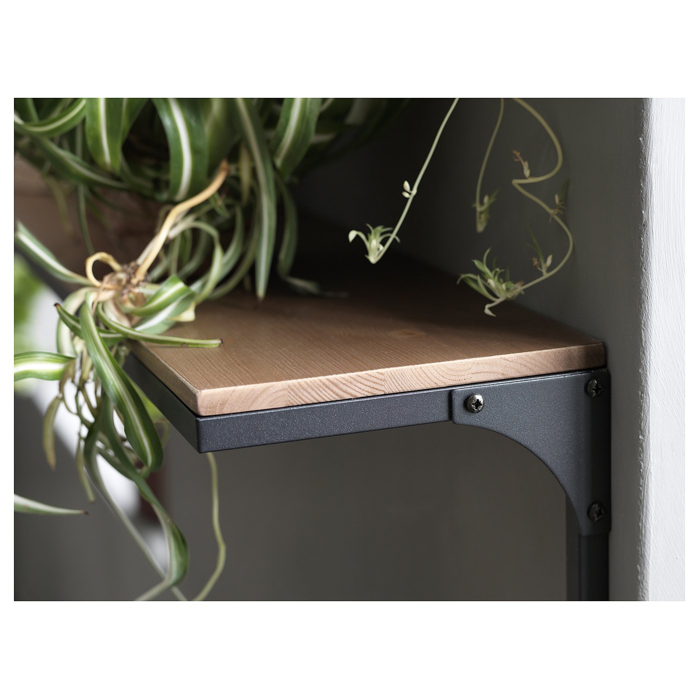 FJÄLLBO wall shelf, black, 101x20 cm (393/4x77/8