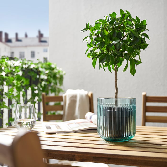 Indoor Pots For Plant Buy indoor plant pots online at affordable