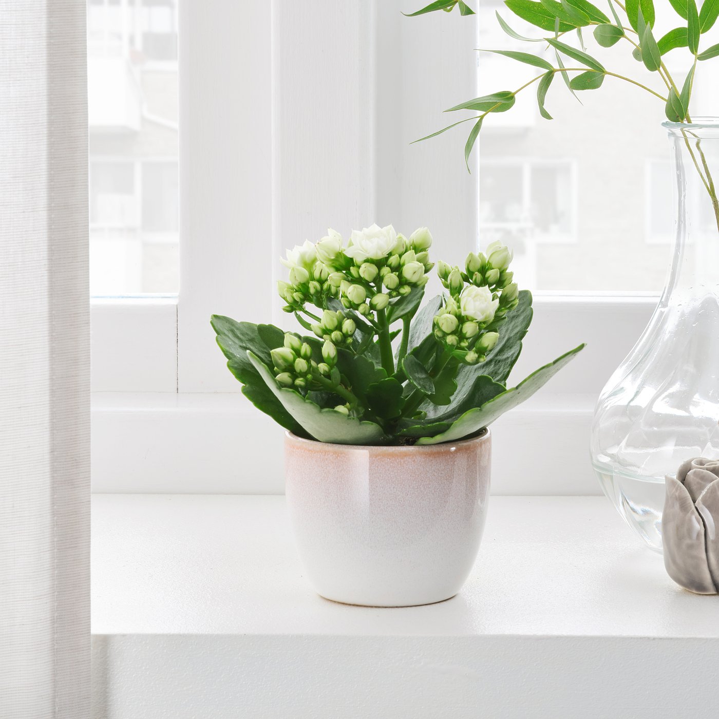 Plant Pots Buy planters online at affordable price in india. IKEA