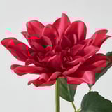 SMYCKA Artificial flower, in/outdoor/Dahlia lilac, 30 cm