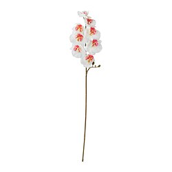 SMYCKA: white orchid branch, recycled plastic, realistic flowers, perfect for vases, durable.