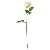 SMYCKA Artificial flower, Rose/white, 52 cm
