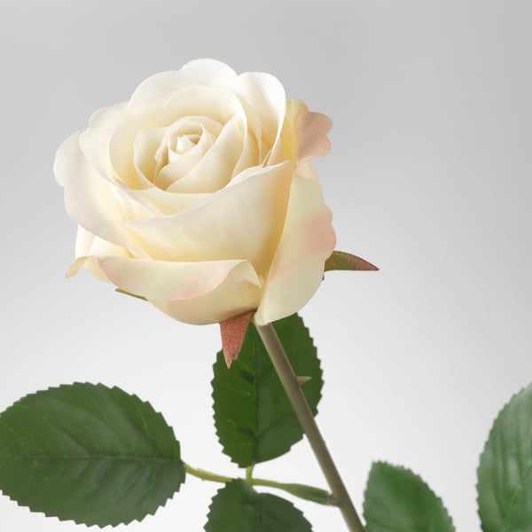SMYCKA Artificial flower, Rose/white, 52 cm