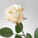 SMYCKA Artificial flower, Rose/white, 52 cm