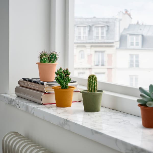 Four small cacti in colourful pots on a marble windowsill with books, city view.