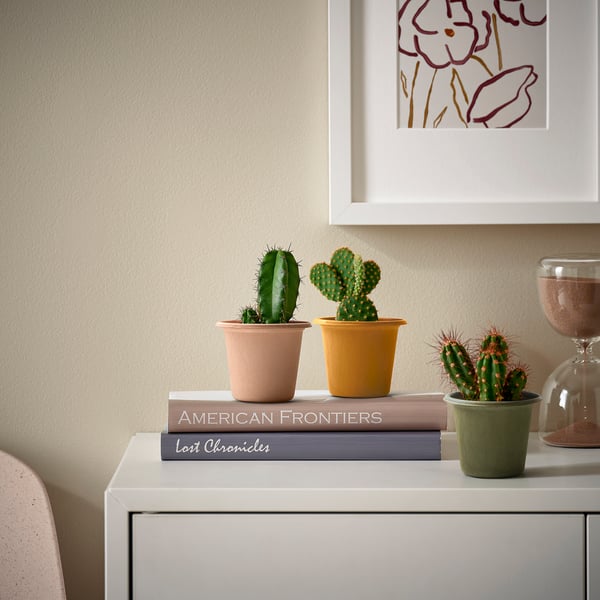 Three small cacti in colourful pots on books with floral print.
