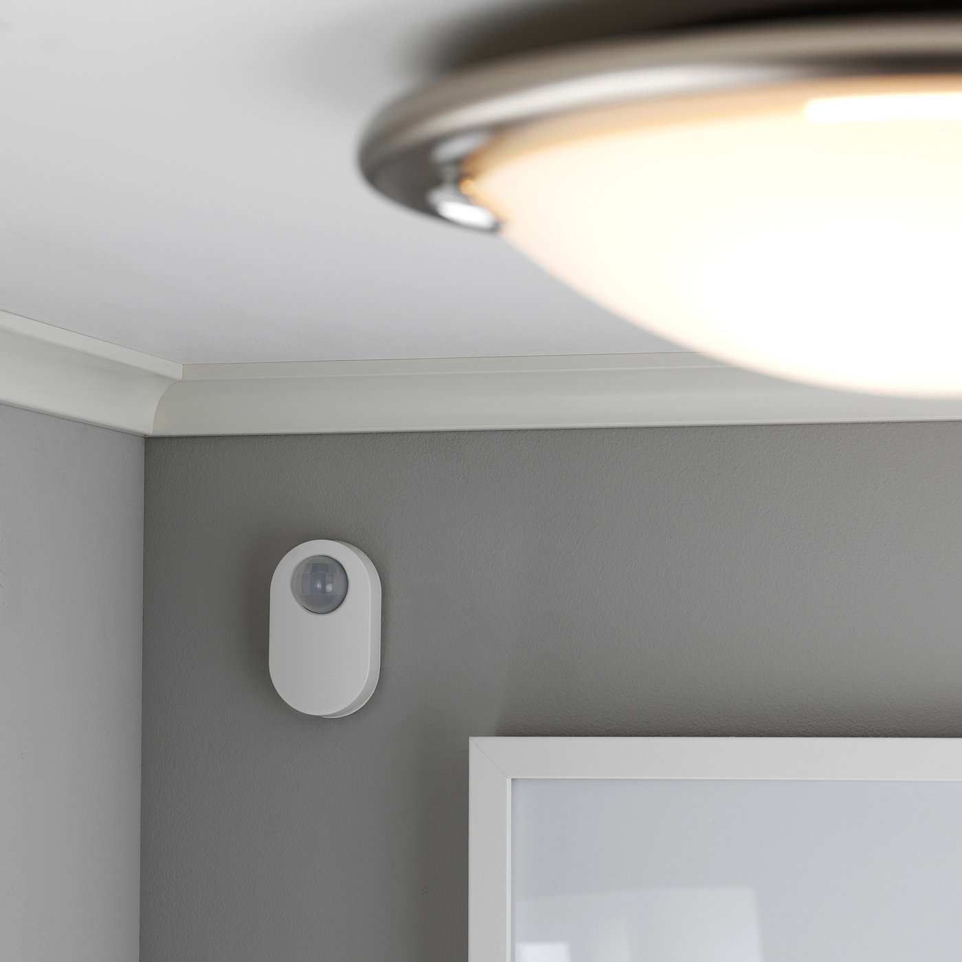 Large motion sensor light Clearance