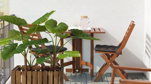 Plants & flowers