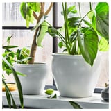 AMBRARÖNN Portavasi, da interno/esterno/bianco, 15 cm