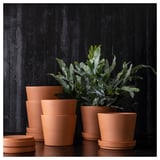 Vasi per piante BRUNBÄR in terracotta mostrati impilati in varie dimensioni su uno sfondo di legno scuro.