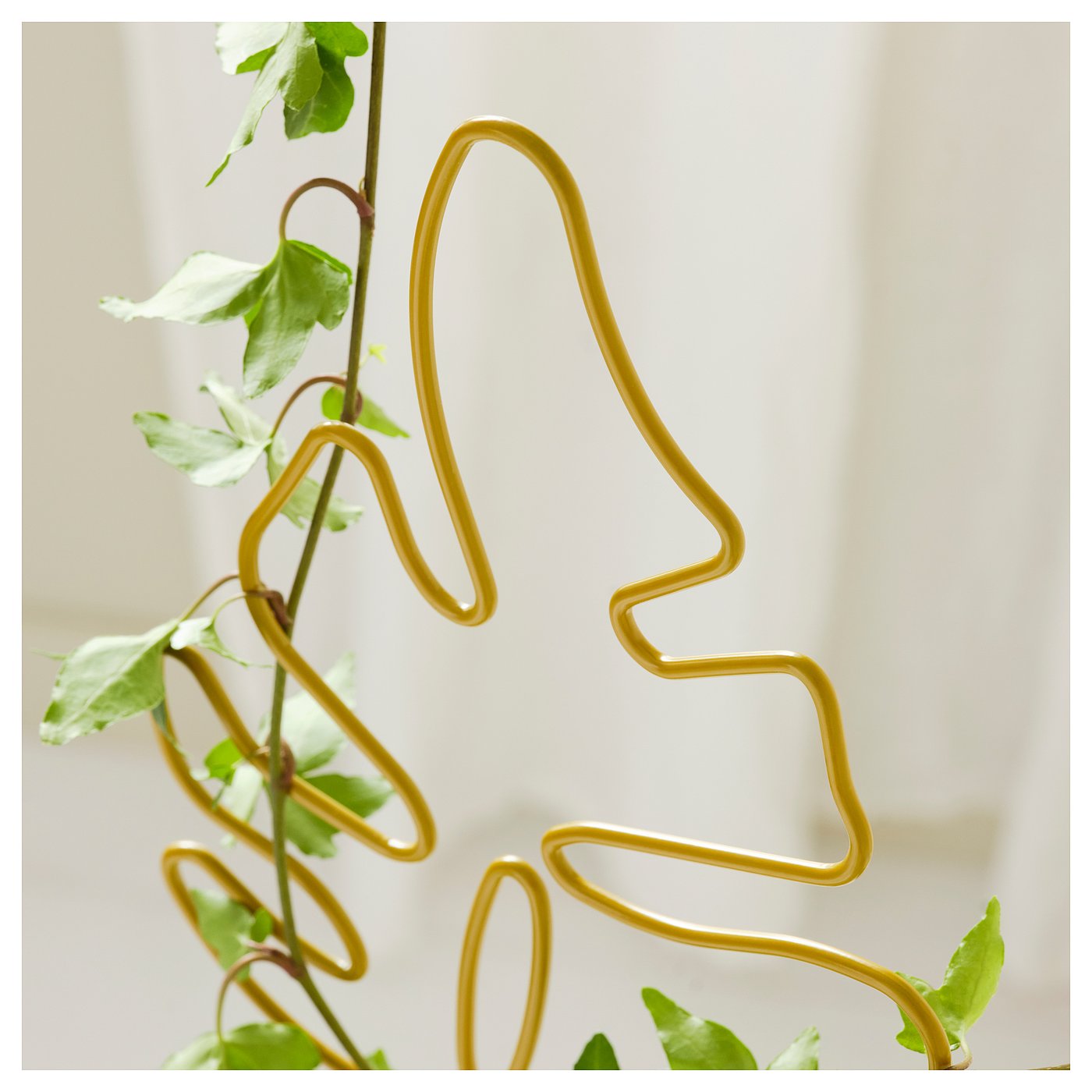 Indus Lifespace Set 2 Supporti In Legno Acacia 10x10cm - Per Piante, Candele O Decorazioni - Foto 4