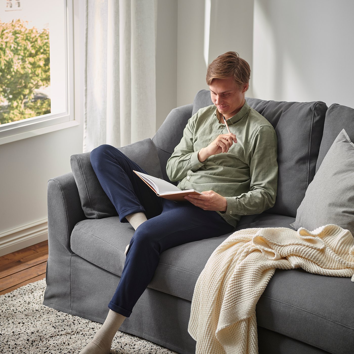 Farlov Divano Letto A 2 Posti Flodafors Grigio Ikea It