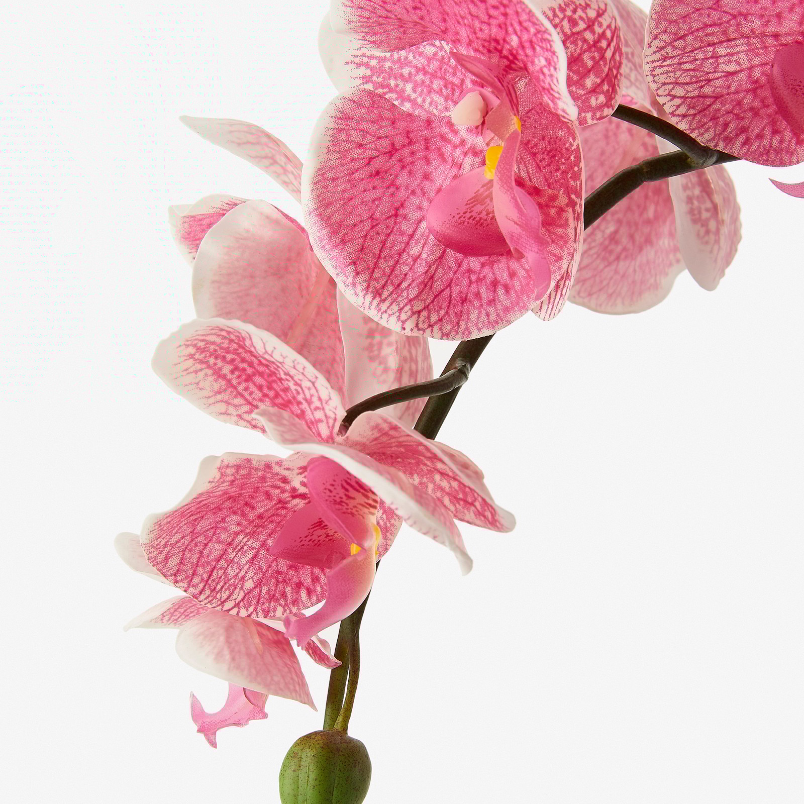 FEJKA Pianta artificiale con vaso, Orchidea rosa IKEA IT