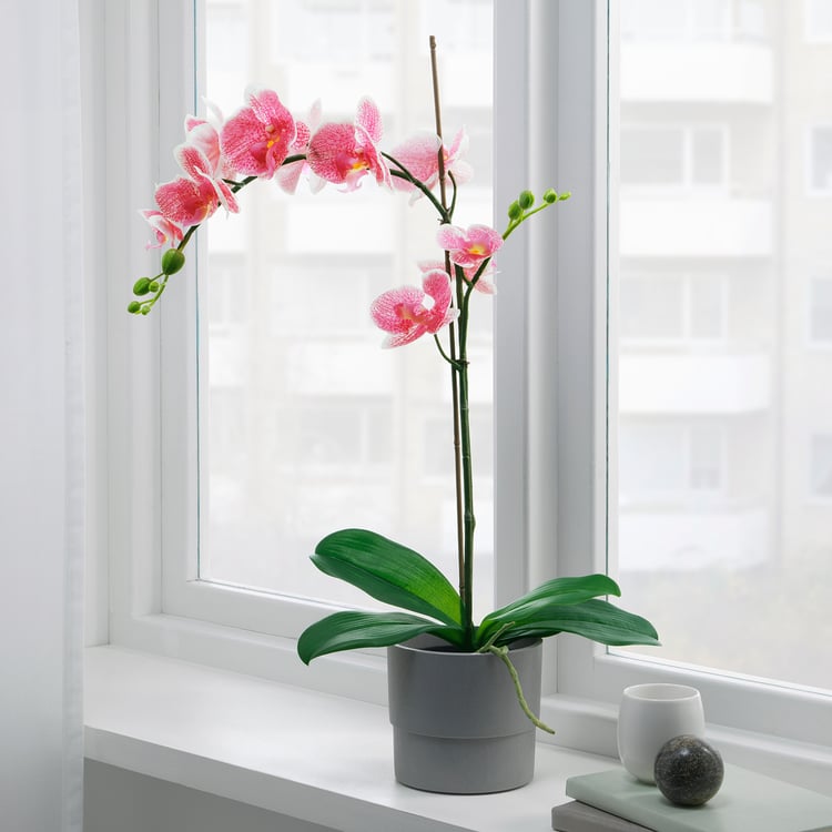 FEJKA Pianta artificiale con vaso, Orchidea rosa IKEA IT