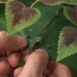 Mani che assemblano i pannelli dell'impianto FEJKA con i click.