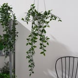Piante artificiali sospese in vasi bianchi contro un muro, aggiungendo verde senza manutenzione.