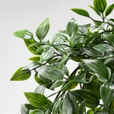 Pianta artificiale realistica con foglie verdi vivaci e strutturate disposte naturalmente su uno stelo robusto.