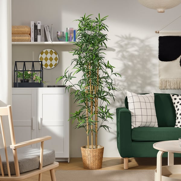 Soggiorno moderno con divano verde, sedia in legno e alta pianta FEJKA.