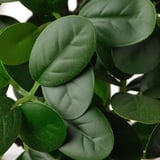 Pianta artificiale realistica con foglie verdi realistiche e vibranti disposte meticolosamente, imitando una pianta naturale e sana.