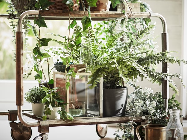 Carrello vintage con piante FEJKA, verdure e vasi di vetro. Rustico, in legno, con ruote. Foglie verdi e realistiche.