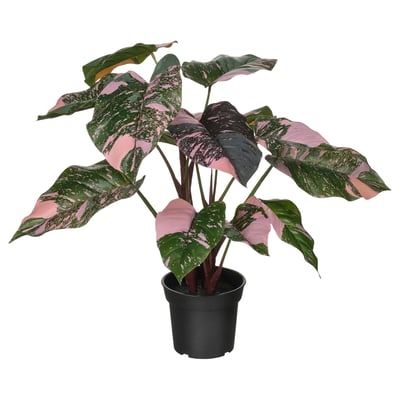 Una pianta artificiale FEJKA con foglie rosa e verdi, in vaso in un contenitore nero.