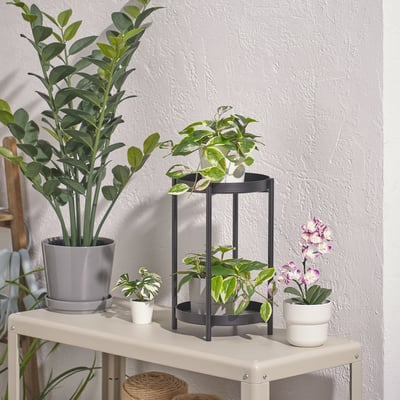 Espositore di piante FEJKA: pianta alta a sinistra, piccole piante in piedistallo a più livelli e orchidea a destra, su ripiano bianco.