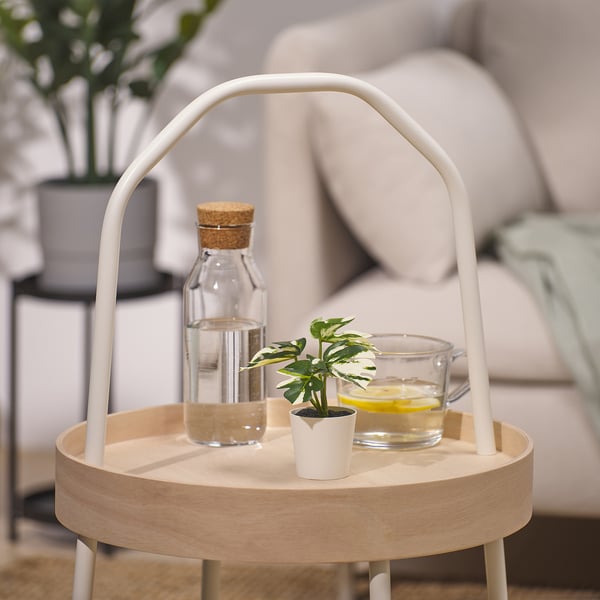 Vassoio moderno minimalista con manico contiene barattolo, piccola pianta, tazza. Vassoi rotondi, legno chiaro, gambe in metallo.